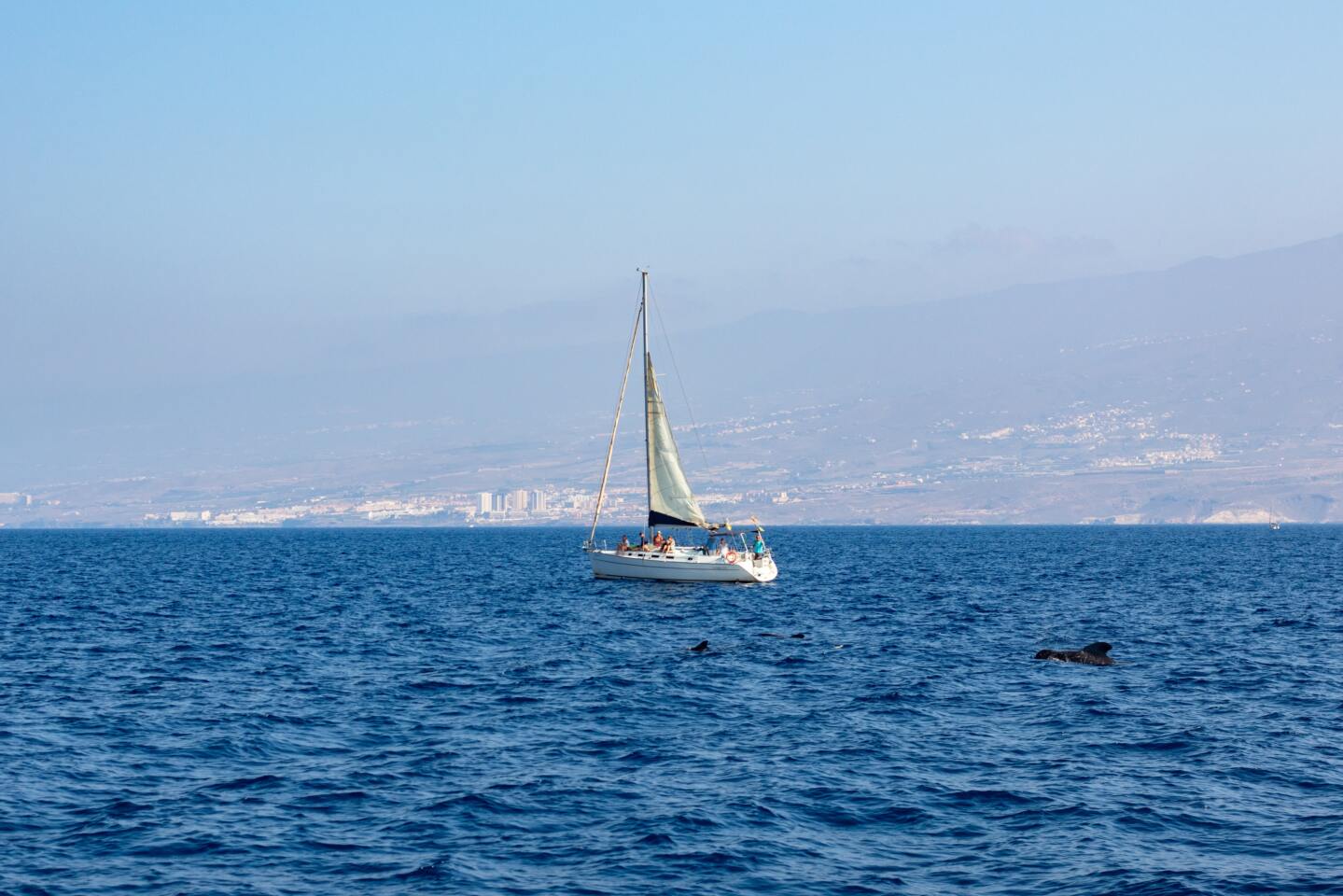 Yacht charter in Tenerife