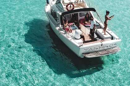 Charter Motorboat Bertram 31 Santa Teresa Gallura