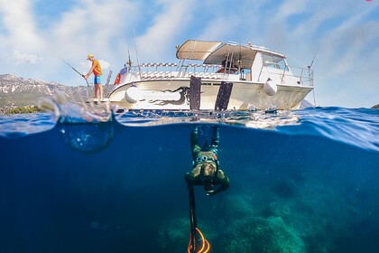 Czarter Łódź motorowa Motorboat Tranquility Kotor Local model 375hp Budva