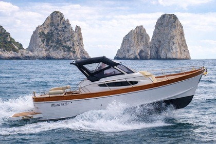 Charter Motorboat private tour Gozzo 8,50 Capri