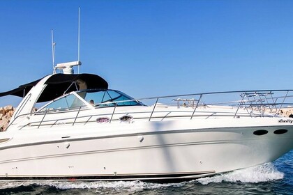 Charter Motorboat Sea Ray 455 Larnaca