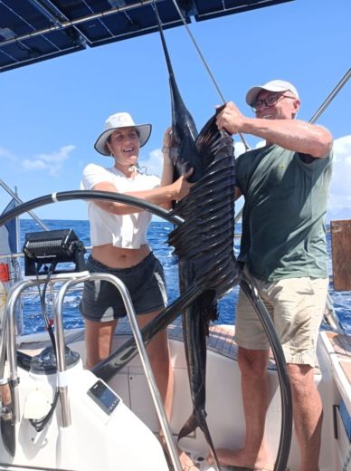 Διαμέρισμα Λε Μαρέν Sailboat Dehler 47 alt tag text