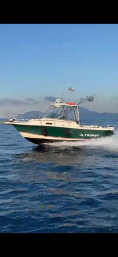 Motorboat Trophy Trophy pro 2302 Plano del barco