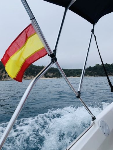 Blanes Without license Astilleros de Castellón Estable 415 alt tag text