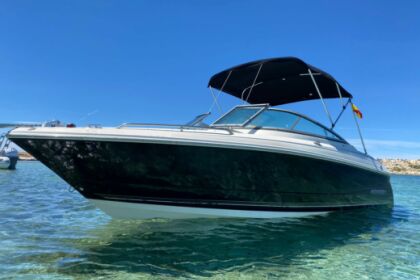 Hire Motorboat Monterey boats Monterey 234 FS Ibiza