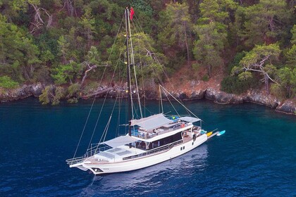 Noleggio Caicco Gulet Gulet NK2 Distretto di Fethiye