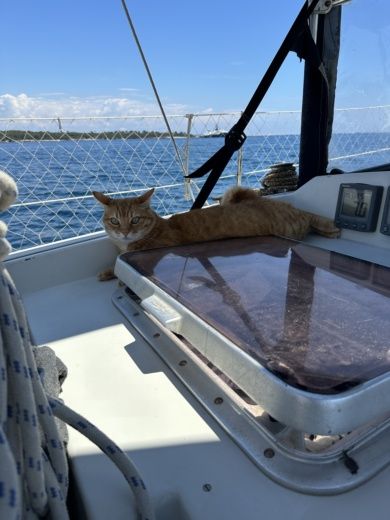 Cannes Sailboat Jouët 37 alt tag text