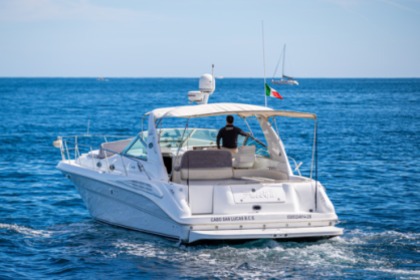 Charter Motorboat Sea Ray 400 Sundancer Cabo San Lucas