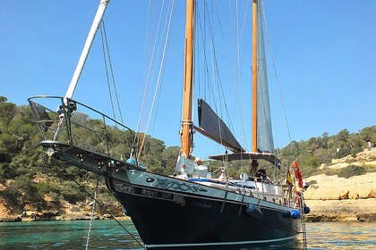 Miete Segelboot TransWorld Taiwan CT41 Palma de Mallorca