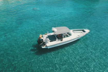 Location Bateau à moteur Axopar 28 T-top Naxos