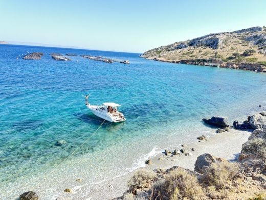 Motorboat Sea Ray 250 SUNDANCER Planta da embarcação
