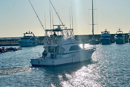 Location Bateau à moteur Bertram 46 Torreguadiaro