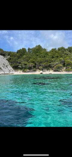 Hvar RIB Aquamax 23-BRAND NEW alt tag text