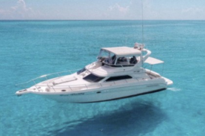 Charter Motorboat Sea Ray Flybridge 13m Cancún