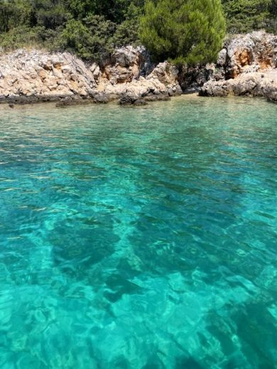 Veglia Motorboat BARRACUDA 545 - 372kk alt tag text