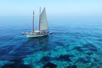 Location Voilier Westergard Boat Schooner Orbetello