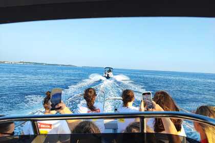 Charter Motorboat Blueline 21 open Poreč