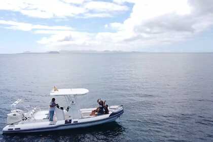 Alquiler Neumática Caribe DL 25 Puerto Calero