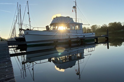 Alquiler Lancha American Marine Grand Banks 32 Veere