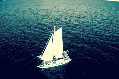 Rental Catamaran James wharram Tiki 30 Coral Bay