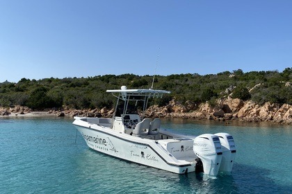 Charter Motorboat Mako marine 252 Porto Rotondo