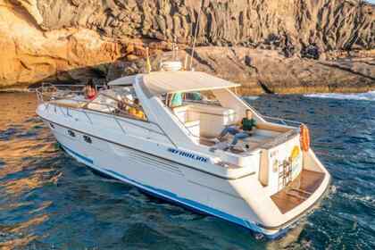 Verhuur Motorboot Fairline Targa 42 - 14 mètres Mandelieu-la-Napoule