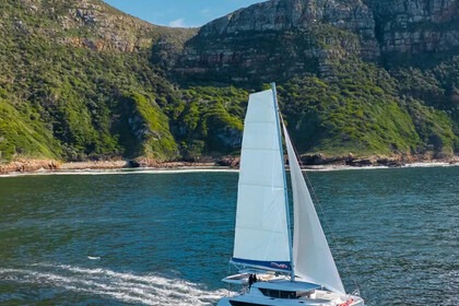 Hire Catamaran  Sunsail 465 Road Town