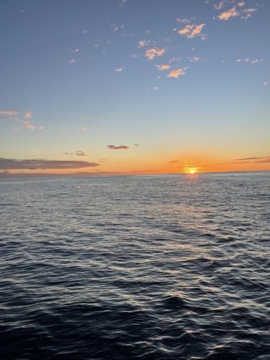 Martinique Catamaran Dauphins LIPARI 41 alt tag text