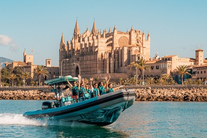 Miete RIB ASTEC PB800 Palma de Mallorca