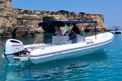 Rental RIB Joker Boat Clubman 24 San Foca