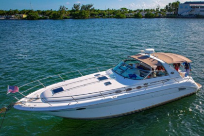 Miete Motorboot Sea Ray Sundancer Miami