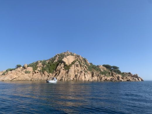 Arbatax Without license DESNER 520 - 11 alt tag text