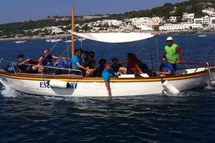 Noleggio Barca senza patente  Gozzo Ligure Autocostruttore Castro