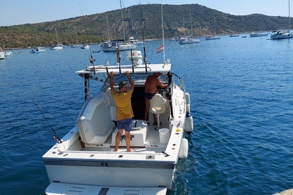 Hire Motorboat Luhrs 27 Big game Fishing Primošten