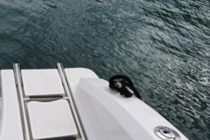 Hire Boat without licence  IDEA MARINE 58 Gallipoli