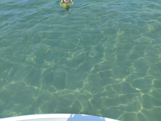 Месонги Without license Nefeli 2016 alt tag text