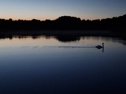 Llanura Lacustre Mecklemburguesa Houseboat Nautilus Nautino Maxi alt tag text