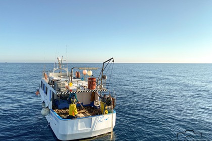 Noleggio Barca a motore peschereccio Anna Isola delle Femmine