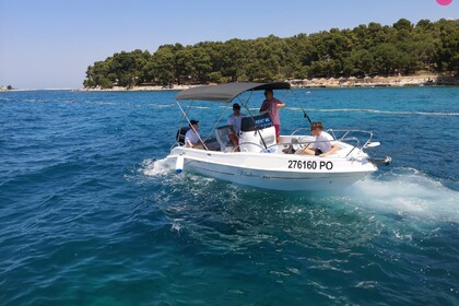 Miete Motorboot Blueline 19 Općina Poreč