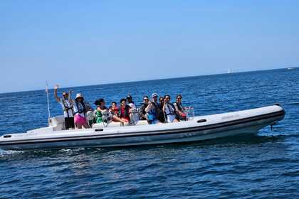 Hire RIB Hydrosport 900 Sesimbra