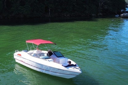 Aluguel Lancha Cobra Cayman Porto Belo