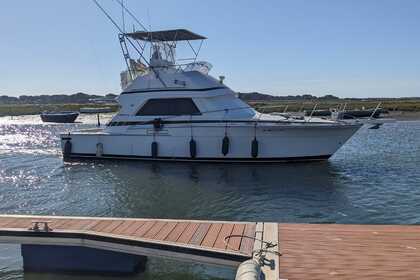 Rental Motorboat Bertram 37 Playa Blanca