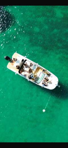 Motorboat Sea Ray 250 SDX Planimetria della barca