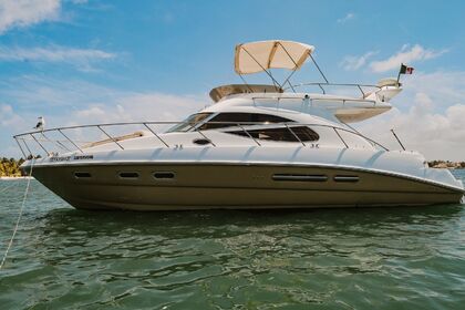 Miete Motorboot Sealine 45 Cancún