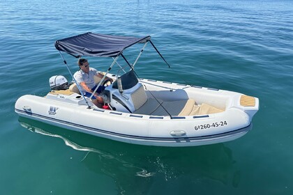 Charter Boat without licence  Tiger Marine Tiger Marine Port d'Alcúdia