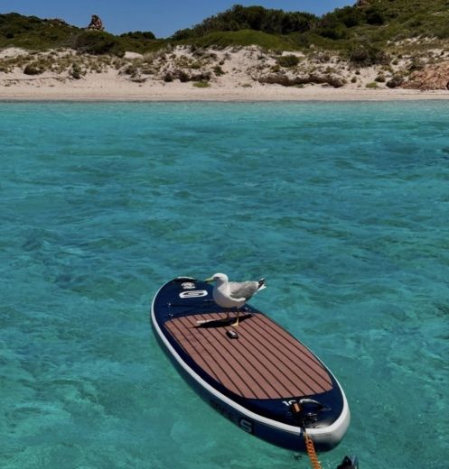 Portisco Motorboat Saver Saver 330 sport 11 metri  incluso watergames alt tag text