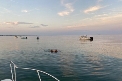 Rental Motorboat Boston Whaler Revenge 25 Venice