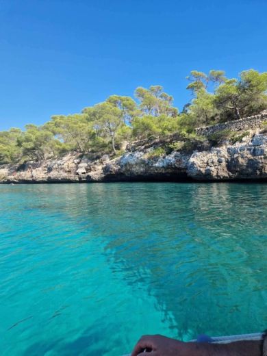 Кала-д’Ор RIB VD PRO VD PRO alt tag text