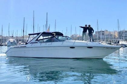 Verhuur Motorboot Sea Ray 380 SUN SPORT Alicante