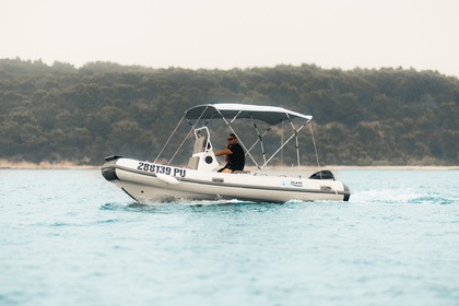 Rental RIB Weihai Marine Co. Arimar Dolphin 520 L Pula